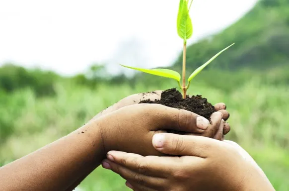 three hands hold soil with sprouting plant